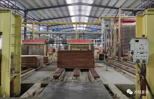 100多名領(lǐng)導(dǎo)干部,專門去了沭陽(yáng)這些地方,這些事情沭陽(yáng)人必須要知道