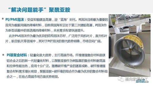 中國化工新材料發展